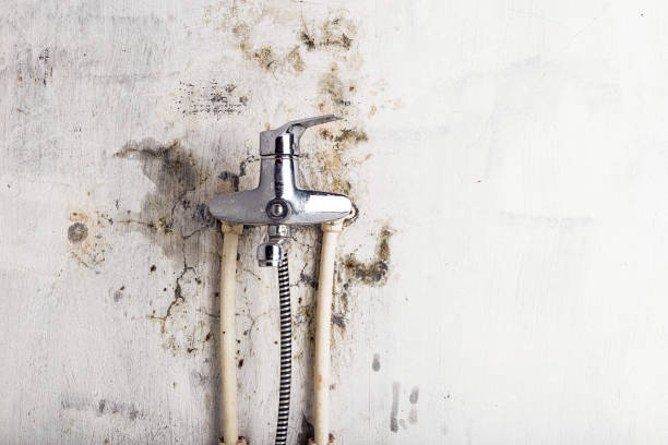 Best Water Damage Restoration  in Avenal, CA