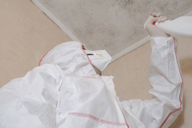 Best Attic Mold Removal  in Avenal, CA